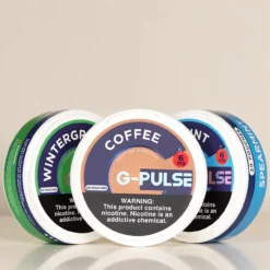 Geekbar G-Pulse ニコチンパウチ