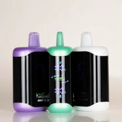 Kangvape Heaven X 大容量40Kパフ ディスポーザブル