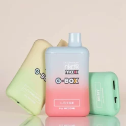 NKD100正規品 G-Box Max 5500パフ 使い捨てVAPE 12ML