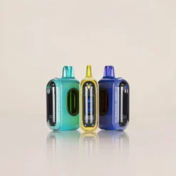True Story 20K Puffs 使い捨てベイプ 20mL 5% デュアルメッシュコイル